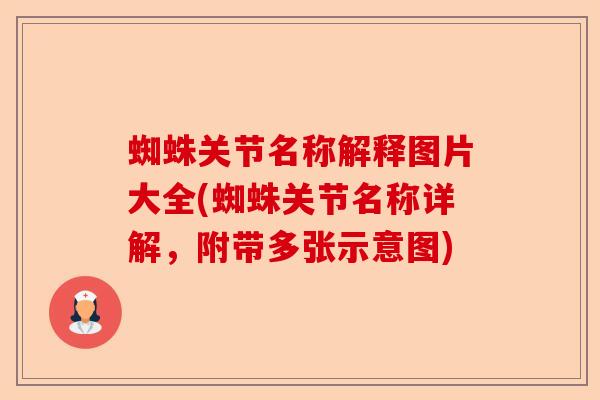 蜘蛛关节名称解释图片大全(蜘蛛关节名称详解，附带多张示意图)-第1张图片-关节保镖