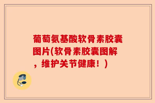 葡萄氨基酸软骨素胶囊图片(软骨素胶囊图解，维护关节健康！)-第1张图片-关节保镖