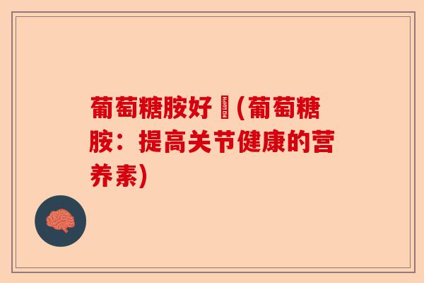 葡萄糖胺好處(葡萄糖胺：提高关节健康的营养素)-第1张图片-关节保镖