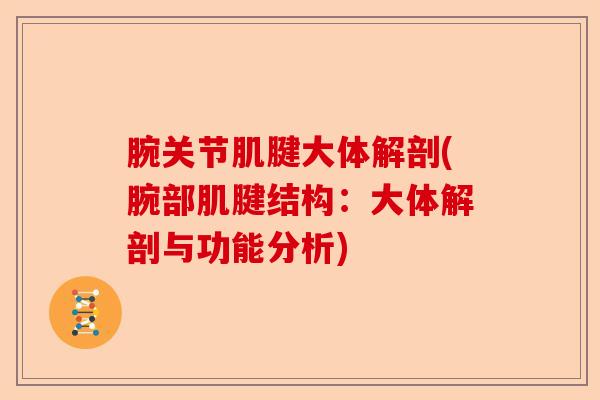 腕关节肌腱大体解剖(腕部肌腱结构：大体解剖与功能分析)-第1张图片-关节保镖
