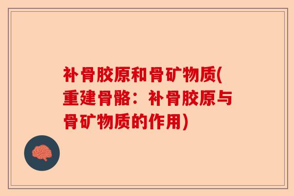 补骨胶原和骨矿物质(重建骨骼：补骨胶原与骨矿物质的作用)-第1张图片-关节保镖
