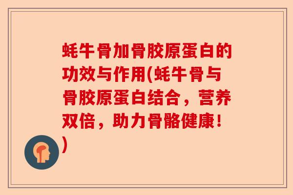 蚝牛骨加骨胶原蛋白的功效与作用(蚝牛骨与骨胶原蛋白结合，营养双倍，助力骨骼健康！)-第1张图片-关节保镖