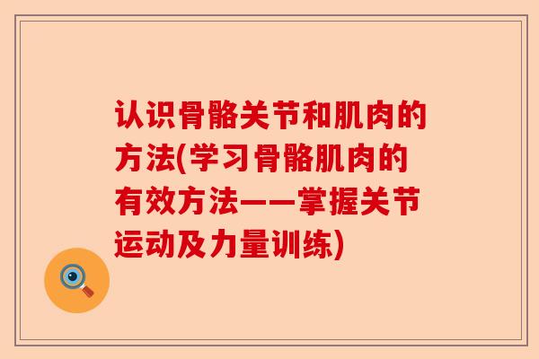 认识骨骼关节和肌肉的方法(学习骨骼肌肉的有效方法——掌握关节运动及力量训练)