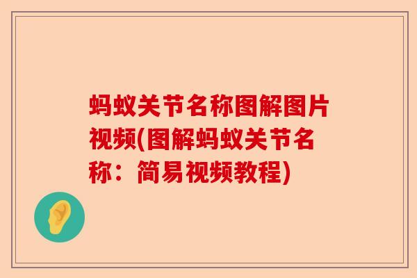 蚂蚁关节名称图解图片视频(图解蚂蚁关节名称：简易视频教程)-第1张图片-关节保镖