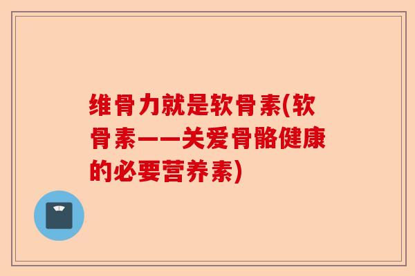 维骨力就是软骨素(软骨素——关爱骨骼健康的必要营养素)-第1张图片-关节保镖
