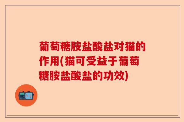 葡萄糖胺盐酸盐对猫的作用(猫可受益于葡萄糖胺盐酸盐的功效)-第1张图片-关节保镖