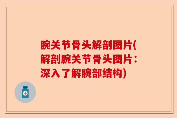 腕关节骨头解剖图片(解剖腕关节骨头图片：深入了解腕部结构)-第1张图片-关节保镖