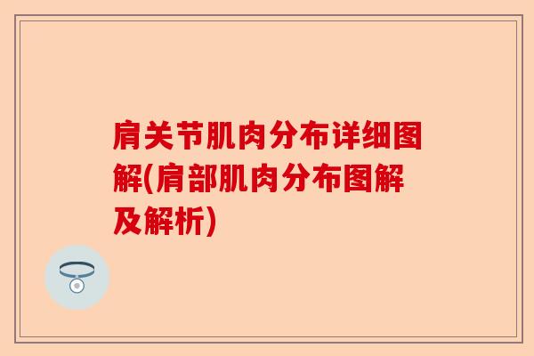 肩关节肌肉分布详细图解(肩部肌肉分布图解及解析)