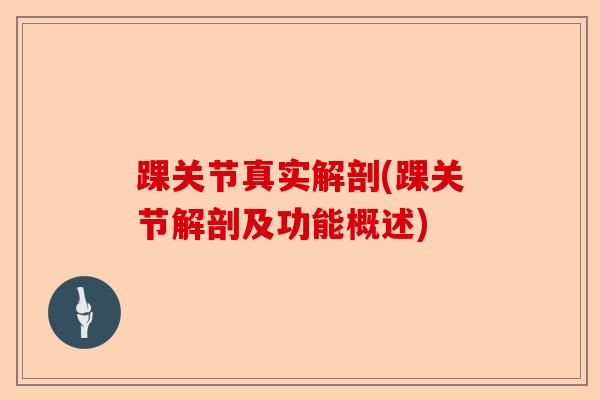 踝关节真实解剖(踝关节解剖及功能概述)