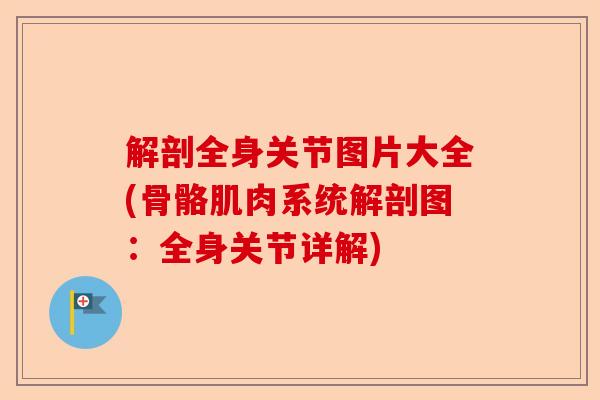 解剖全身关节图片大全(骨骼肌肉系统解剖图：全身关节详解)-第1张图片-关节保镖