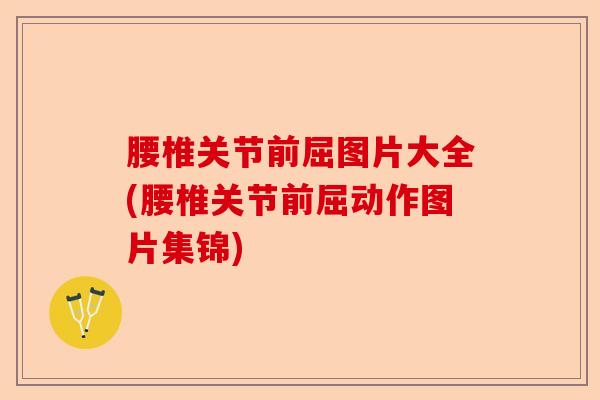 腰椎关节前屈图片大全(腰椎关节前屈动作图片集锦)-第1张图片-关节保镖