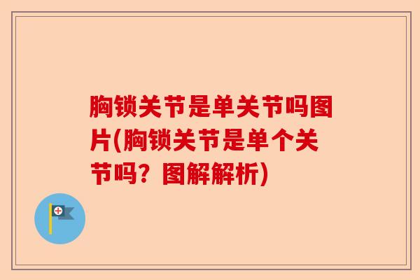 胸锁关节是单关节吗图片(胸锁关节是单个关节吗？图解解析)-第1张图片-关节保镖