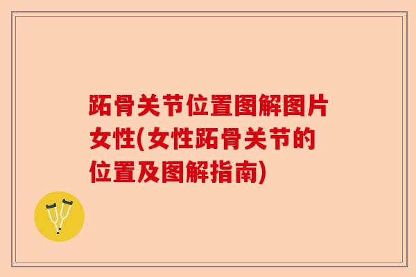 跖骨关节位置图解图片女性(女性跖骨关节的位置及图解指南)-第1张图片-关节保镖