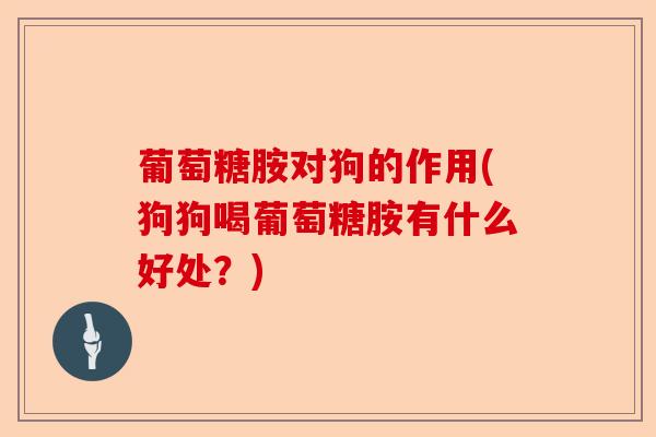 葡萄糖胺对狗的作用(狗狗喝葡萄糖胺有什么好处？)
