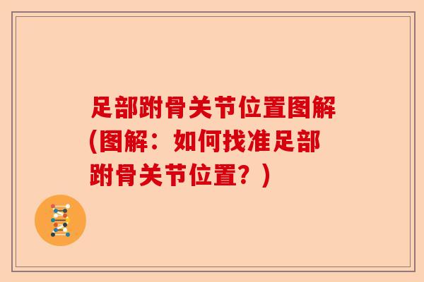 足部跗骨关节位置图解(图解：如何找准足部跗骨关节位置？)-第1张图片-关节保镖