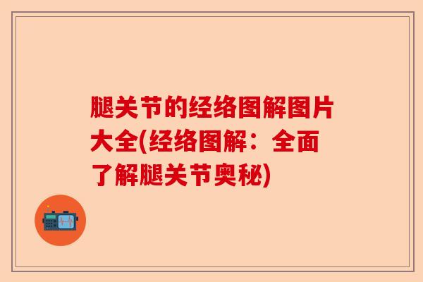 腿关节的经络图解图片大全(经络图解：全面了解腿关节奥秘)-第1张图片-关节保镖