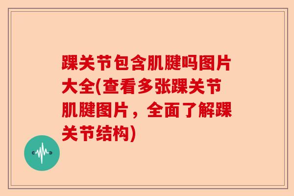 踝关节包含肌腱吗图片大全(查看多张踝关节肌腱图片，全面了解踝关节结构)-第1张图片-关节保镖