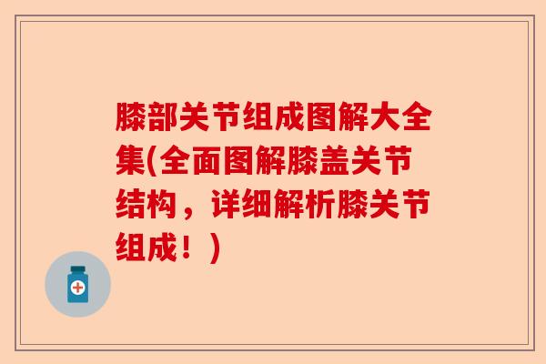 膝部关节组成图解大全集(全面图解膝盖关节结构，详细解析膝关节组成！)