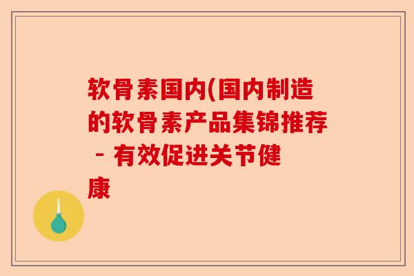 软骨素国内(国内制造的软骨素产品集锦推荐 - 有效促进关节健康