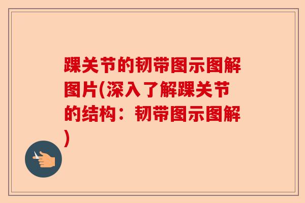踝关节的韧带图示图解图片(深入了解踝关节的结构：韧带图示图解)