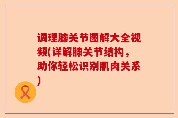 调理膝关节图解大全视频(详解膝关节结构，助你轻松识别肌肉关系)-第1张图片-关节保镖