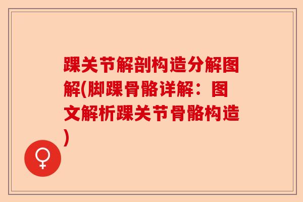 踝关节解剖构造分解图解(脚踝骨骼详解：图文解析踝关节骨骼构造)-第1张图片-关节保镖