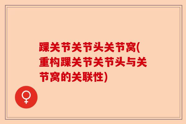踝关节关节头关节窝(重构踝关节关节头与关节窝的关联性)