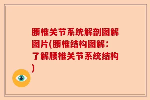 腰椎关节系统解剖图解图片(腰椎结构图解：了解腰椎关节系统结构)