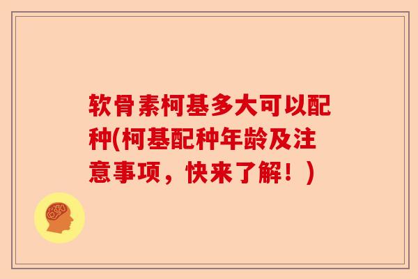 软骨素柯基多大可以配种(柯基配种年龄及注意事项，快来了解！)