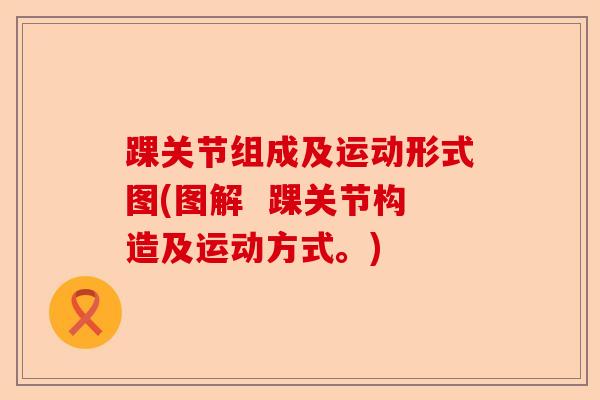 踝关节组成及运动形式图(图解  踝关节构造及运动方式。)