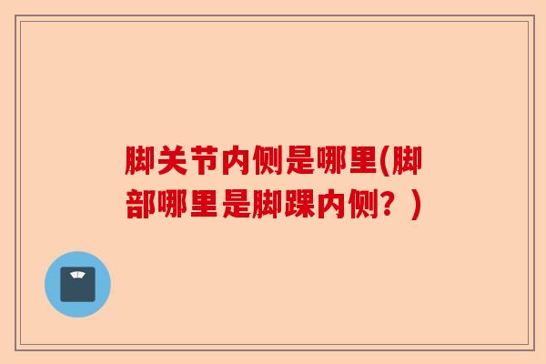 脚关节内侧是哪里(脚部哪里是脚踝内侧？)