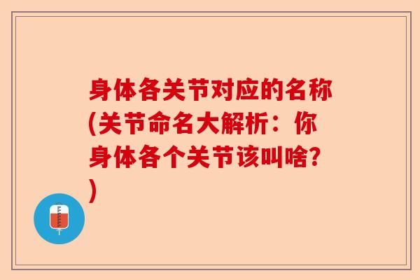 身体各关节对应的名称(关节命名大解析：你身体各个关节该叫啥？)