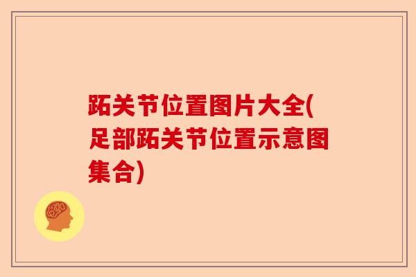跖关节位置图片大全(足部跖关节位置示意图集合)