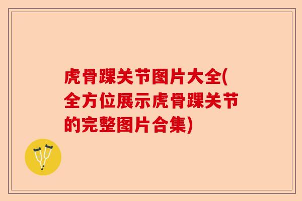 虎骨踝关节图片大全(全方位展示虎骨踝关节的完整图片合集)