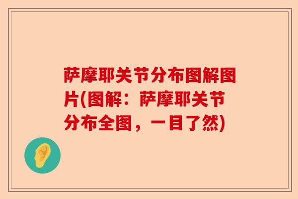 萨摩耶关节分布图解图片(图解：萨摩耶关节分布全图，一目了然)