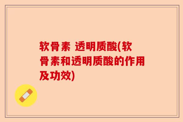 软骨素 透明质酸(软骨素和透明质酸的作用及功效)