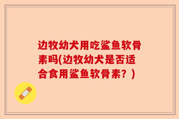 边牧幼犬用吃鲨鱼软骨素吗(边牧幼犬是否适合食用鲨鱼软骨素？)