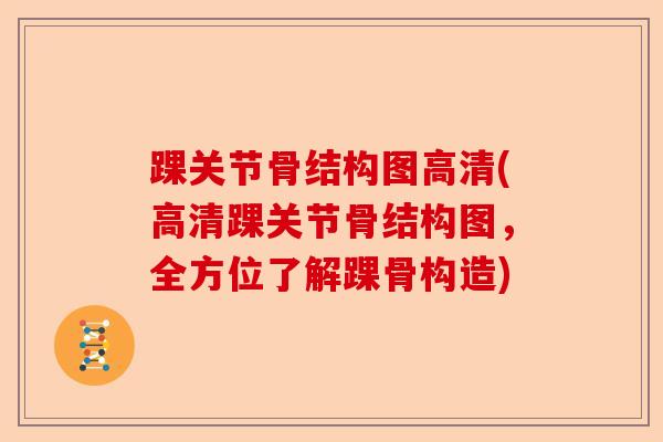 踝关节骨结构图高清(高清踝关节骨结构图，全方位了解踝骨构造)