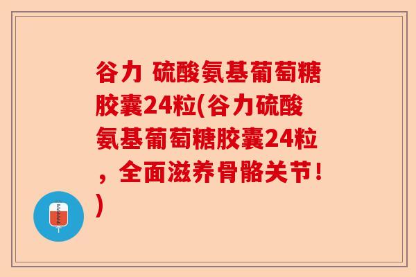 谷力 硫酸氨基葡萄糖胶囊24粒(谷力硫酸氨基葡萄糖胶囊24粒，全面滋养骨骼关节！)