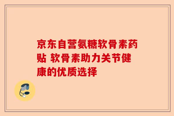 京东自营氨糖软骨素药贴 软骨素助力关节健康的优质选择-第1张图片-关节保镖