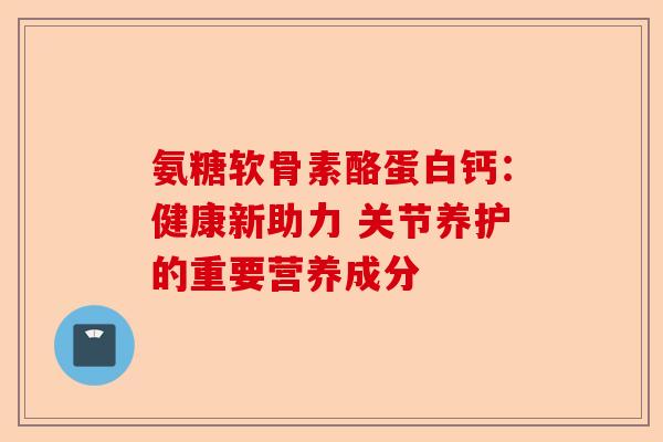 氨糖软骨素酪蛋白钙：健康新助力 关节养护的重要营养成分