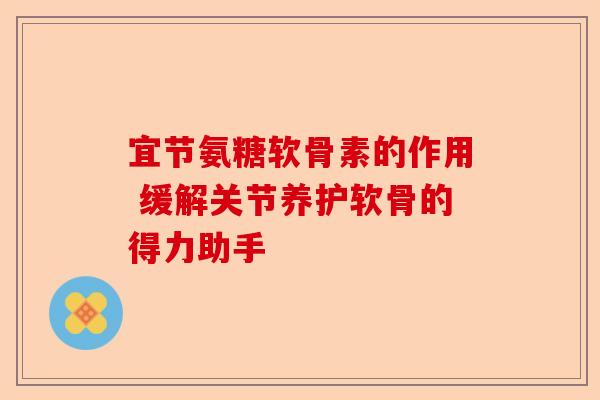 宜节氨糖软骨素的作用 缓解关节养护软骨的得力助手