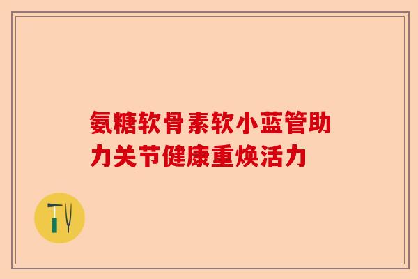 氨糖软骨素软小蓝管助力关节健康重焕活力-第1张图片-关节保镖