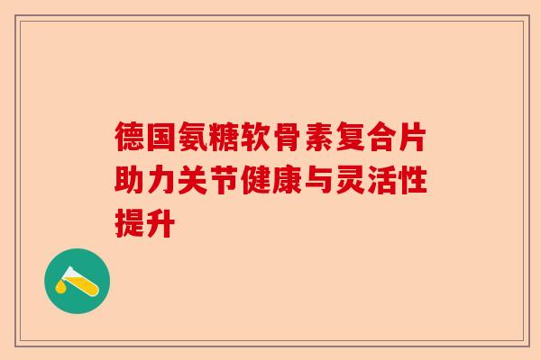 德国氨糖软骨素复合片助力关节健康与灵活性提升
