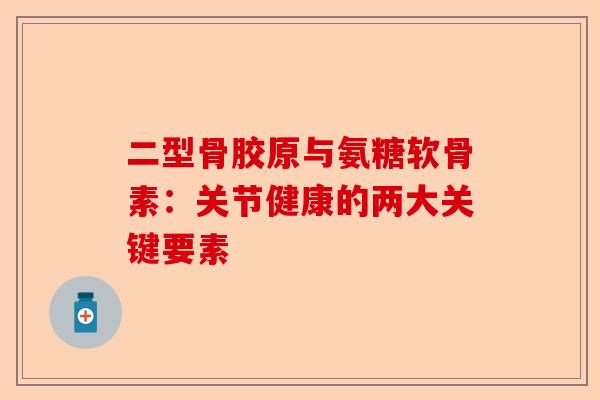 二型骨胶原与氨糖软骨素：关节健康的两大关键要素