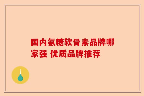 国内氨糖软骨素品牌哪家强 优质品牌推荐