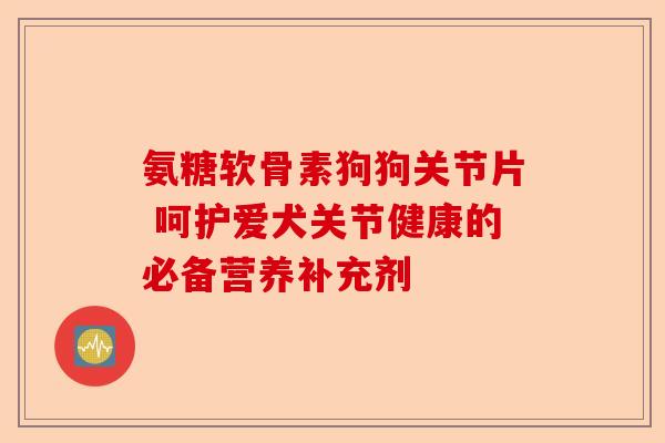 氨糖软骨素狗狗关节片 呵护爱犬关节健康的必备营养补充剂