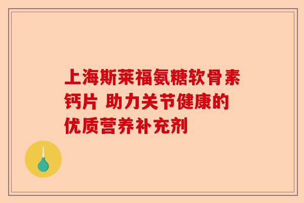 上海斯莱福氨糖软骨素钙片 助力关节健康的优质营养补充剂
