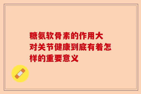 糖氨软骨素的作用大 对关节健康到底有着怎样的重要意义