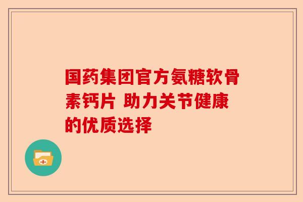 国药集团官方氨糖软骨素钙片 助力关节健康的优质选择
